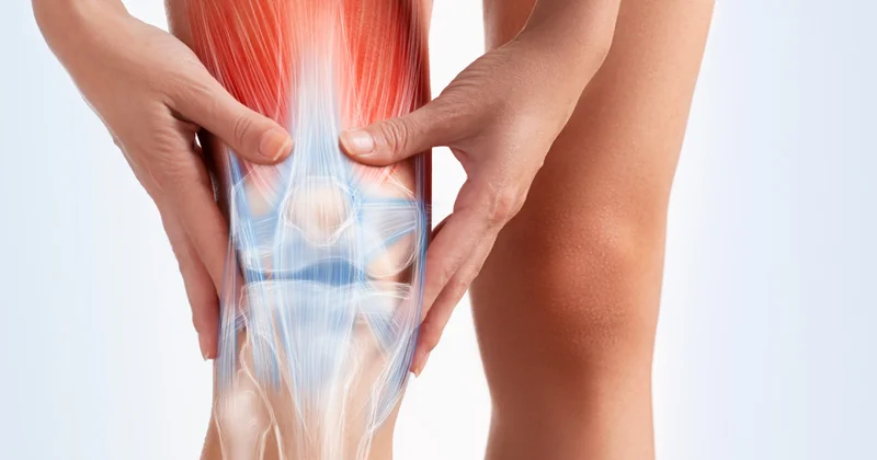 Qığırdaq və sümükləri “gəncləşdirən” dərman tapıldı Elm dünyasında inqilab