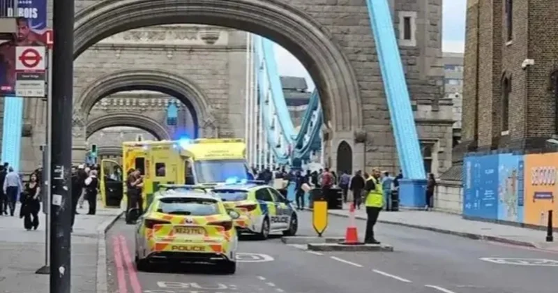 Polis Londonda imperator tacını təhqir edənləri saxladı