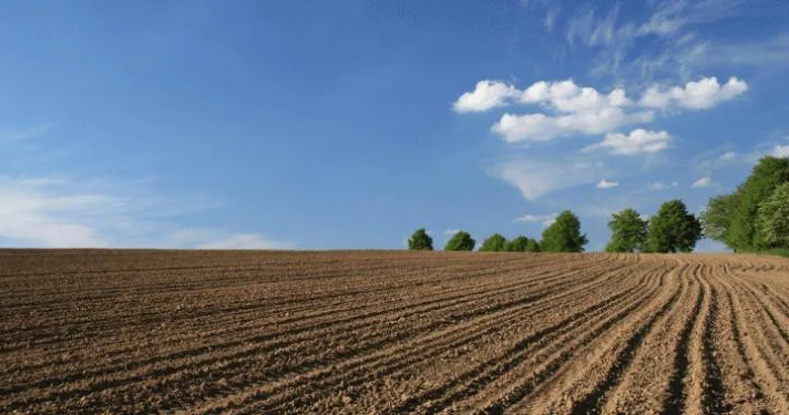 Havaların quraq keçməsi Şəkidə əkin sahələrinə necə təsir edir? FOTO