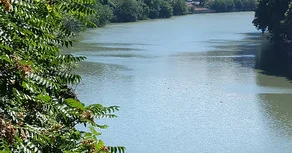 Kür çayına balıq körpələri buraxılıb FOTOLAR