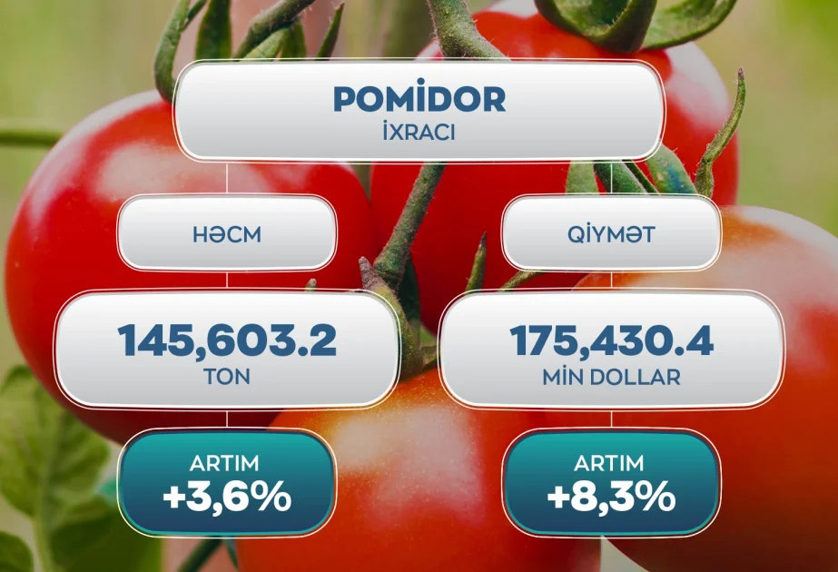 Ötən il Azərbaycandan xarici bazarlara pomidor ixracında 3,6 faiz artım qeydə alınıb AZƏRTAC