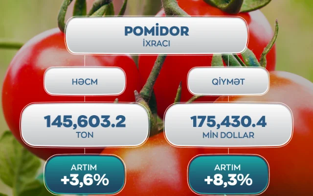 Xarici bazarlara pomidor ixracında nə qədər artım olub?