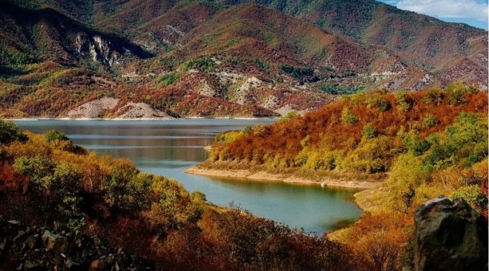 Milli parklar, qoruqlar, yasaqlıqlar canlıların son sığınacağı