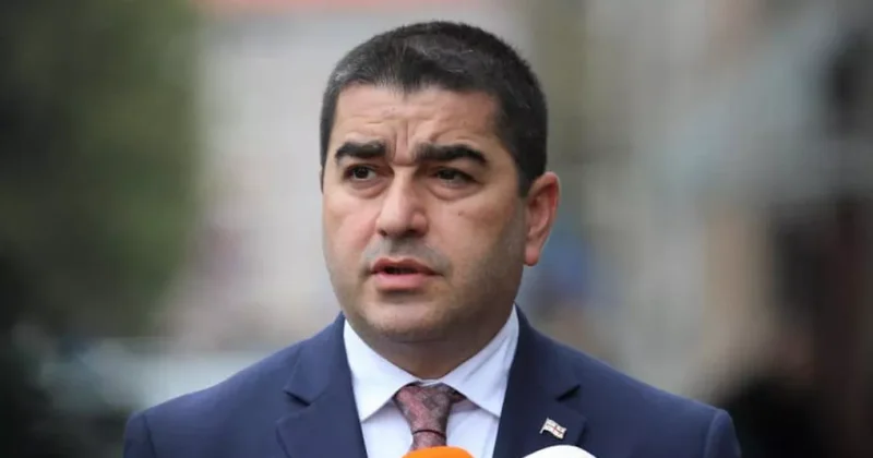 Папуашвили: Евросоюз издевается над грузинским народом