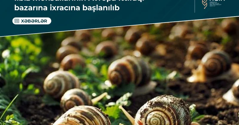 İlbiz məhsullarının Avropa İttifaqı bazarına ixracına başlanılıb