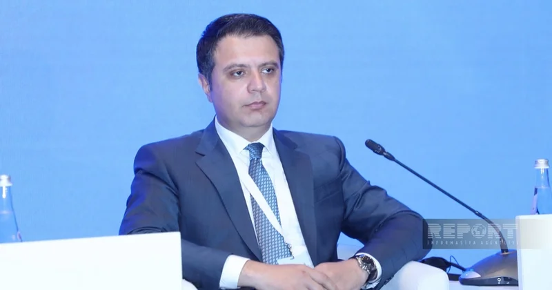 Назначен директор Агентства госказначейства