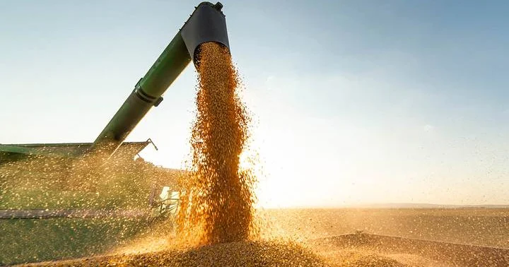 Qazaxıstan taxılının Azərbaycana daşınma həcmi üç dəfə artıb