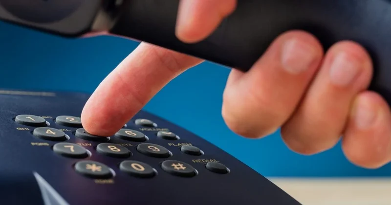 Власти Швейцарии запустили горячую линию для жалоб на бобров