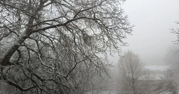 Sabah qar yağacaq Hava proqnozu