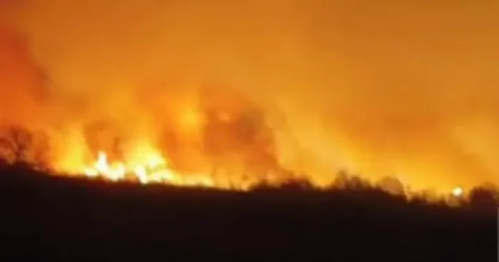 Cəbrayıl və Füzuli rayonlarında yanğın sərhəd boyunca genişlənməyə davam edir