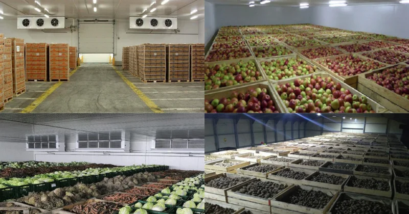 Агропромышленный сектор Кыргызстана укрепляет производственный потенциал