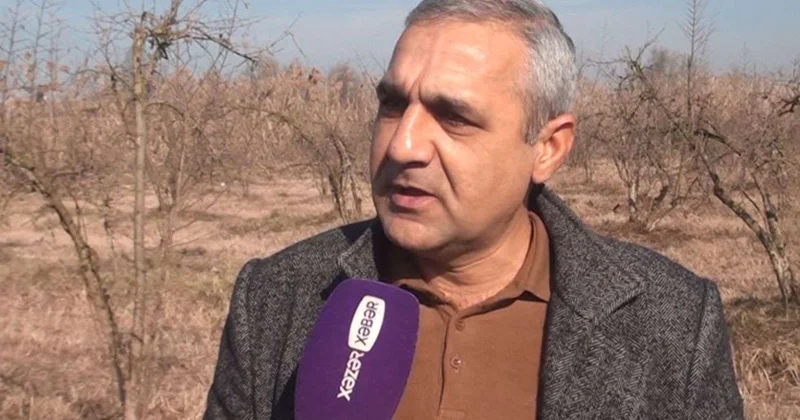 Bağına ciddi ziyan dəyən fermer sığortasını ala bilmir VİDEO