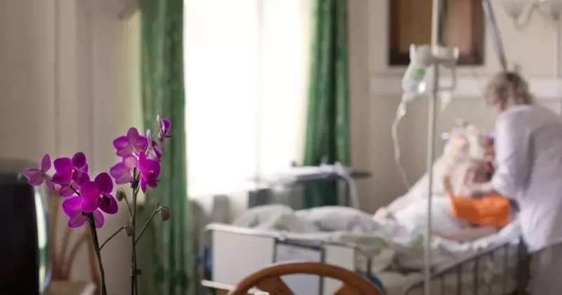 В столице Узбекистана появится хоспис для взрослых