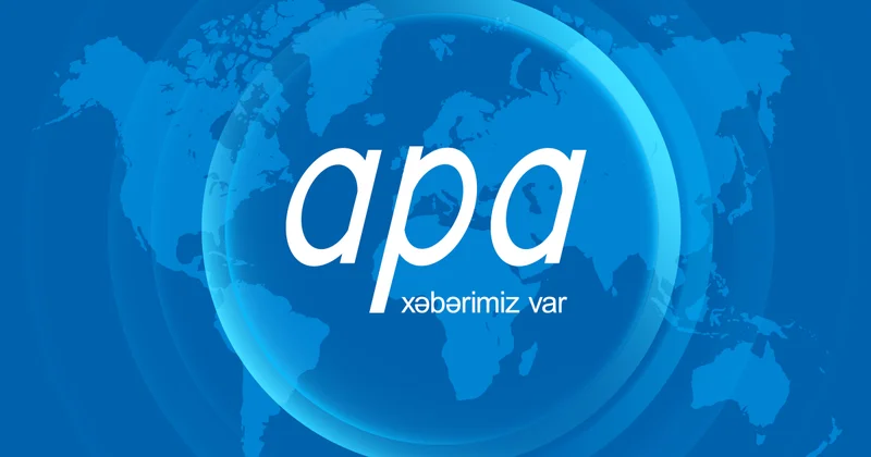 Dövlət Məşğulluq Agentliyinə yeni sədr təyin olunub