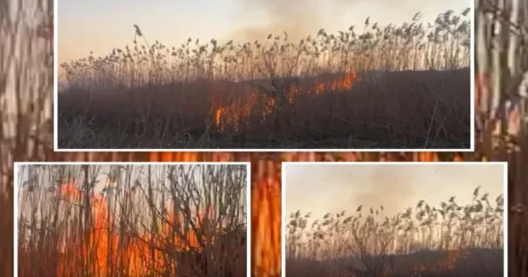 Cocuq Mərcanlıda yanğın törədən saxlanıldı