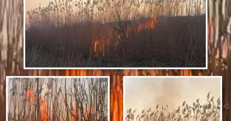 Cəbrayıldakı yanğını 66 yaşlı kişi törədib