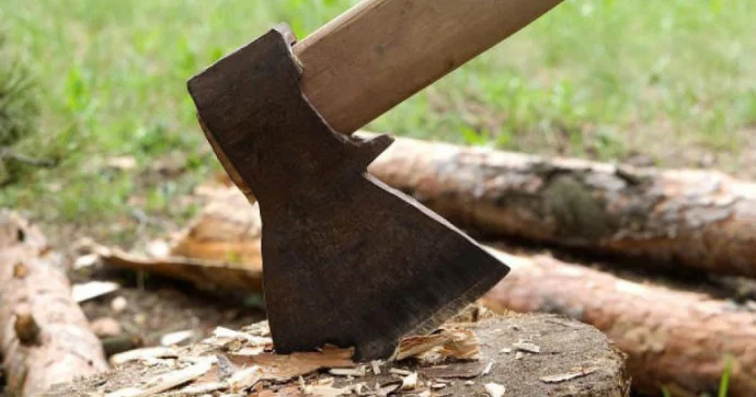 Xətaidə ağaclar kəsilib, materiallar Baş Prokurorluğa göndəriləcək