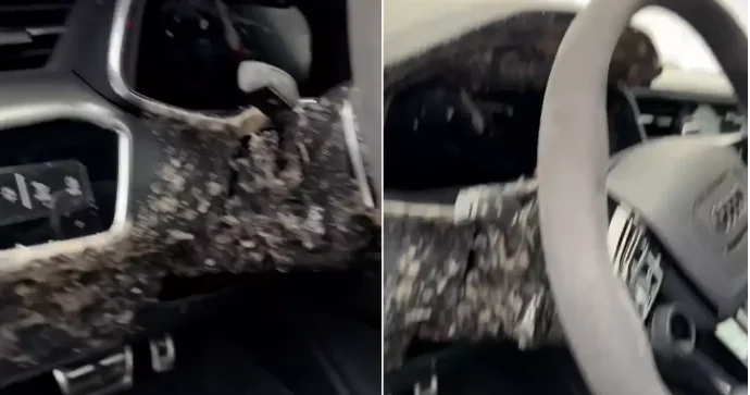 Soyuq havada avtomobildə qalan qazlı içki donaraq partladı; salon yararsız hala düşdü VİDEO