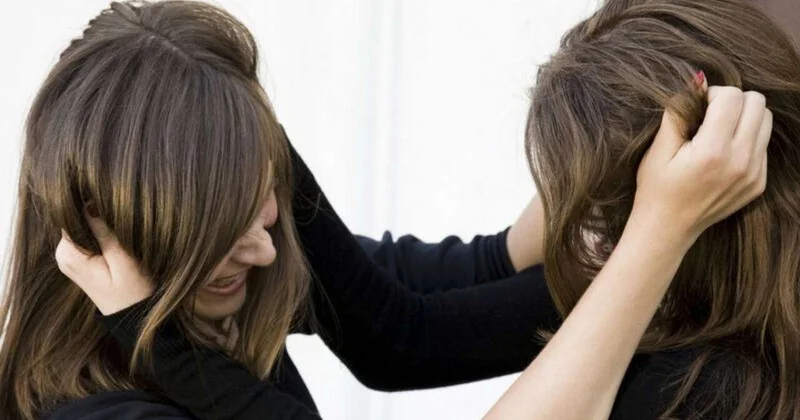 Lerikdə qadınlar arasında torpaq davası Məhkəmə qərar verdi