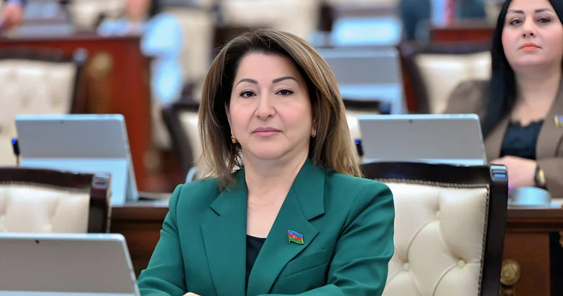 “2025 Azərbaycanın xarici siyasətində tarixi dönüş oldu”