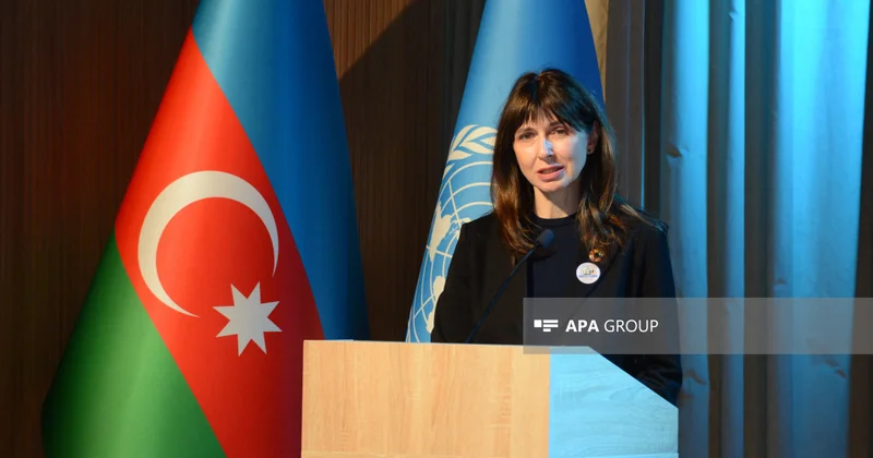 BMT nin Azərbaycandakı rezident koordinatorunun vəzifə müddəti başa çatıb