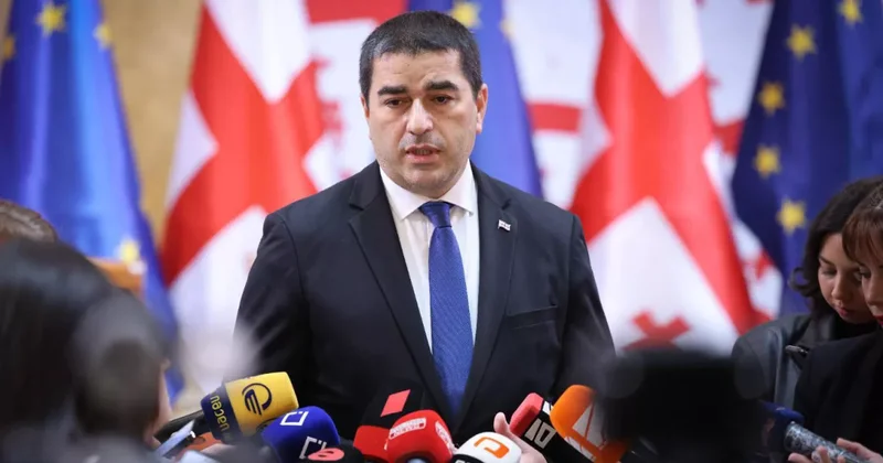 Папуашвили прокомментировал выход США из Венецианской комиссии