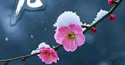 Qədim Çində yazın gəlişi necə hesablanırdı?