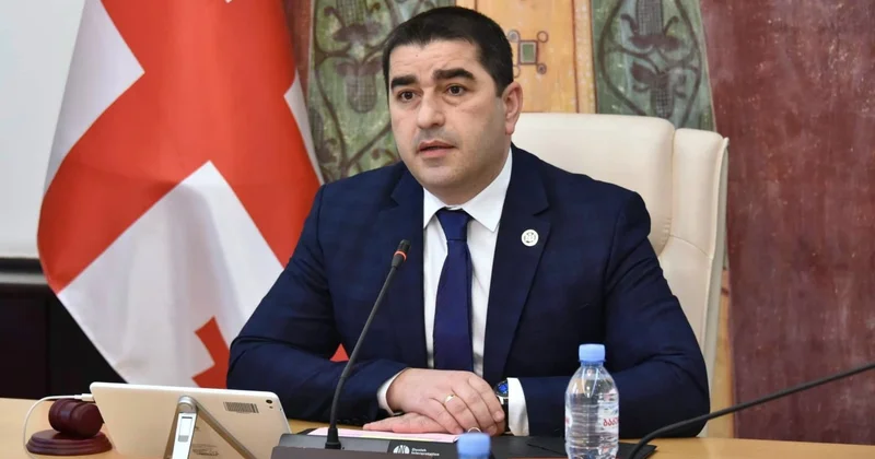 Папуашвили: ЕС издевается, когда говорит, что Молдова, Украина опережают Грузию