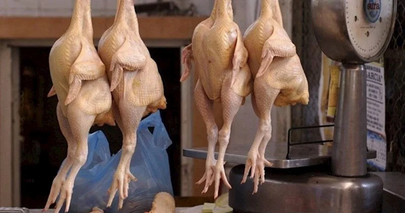 Vətəndaşlara XƏBƏRDARLIQ: Kənd toyuğu adı altında rənglənmiş qidalar satılır?