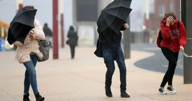 Güclü külək ƏSƏCƏK