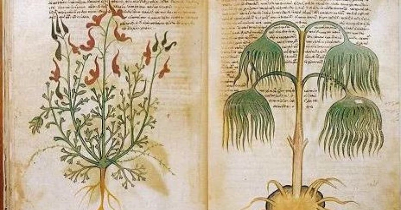 Heç kimin oxuya bilmədiyi əlyazmanın sirri açıldı