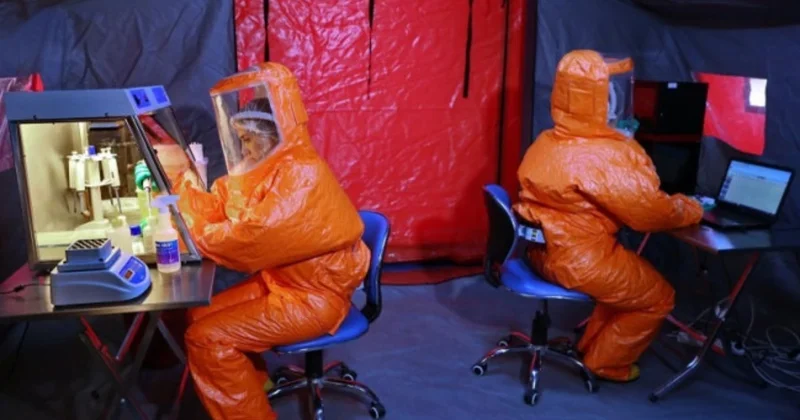 Ölkədə quş qripinə yoluxma aşkarlanmayıb Rəsmi