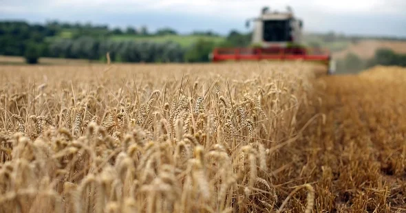 Rusiyanın hucumlarından sonra Ukraynanın taxıl ixracı azalıb