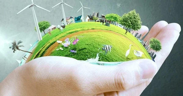 “Neft azalır, çıxış yolu külək və günəşdir”&nbsp; Professor Şərq ə danışdı