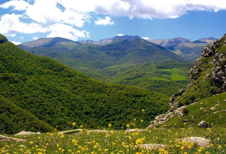 Şuşa Ağdərə Kəlbəcər rayonlarının ərazisini əhatə edən yeni milli park yaradılacaq