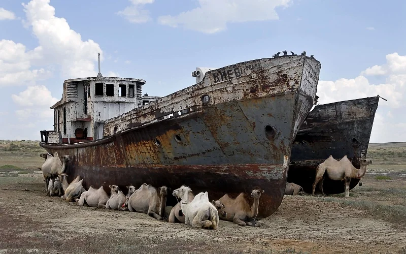 Dünyanı yeni ekoloji fəlakət gözləyir Alimlərdən XƏBƏRDARLIQ