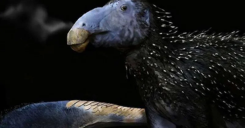 Çində tikanlı dinozavr qalıqları aşkar edilib