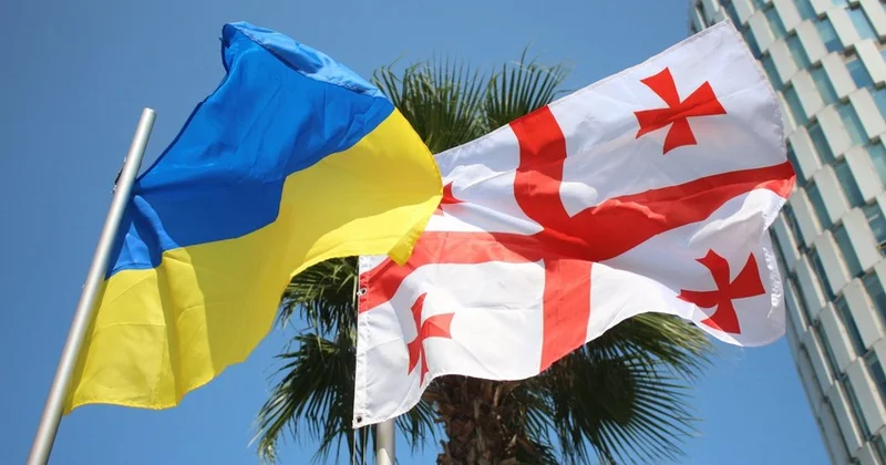 Кобахидзе сравнил опыт Грузии и Украины в условиях внешнего давления