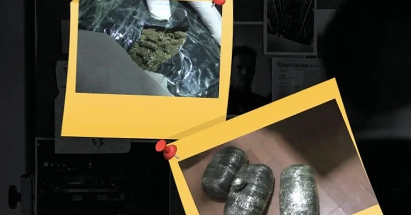 В Масаллинском районе изъято 9 кг марихуаны