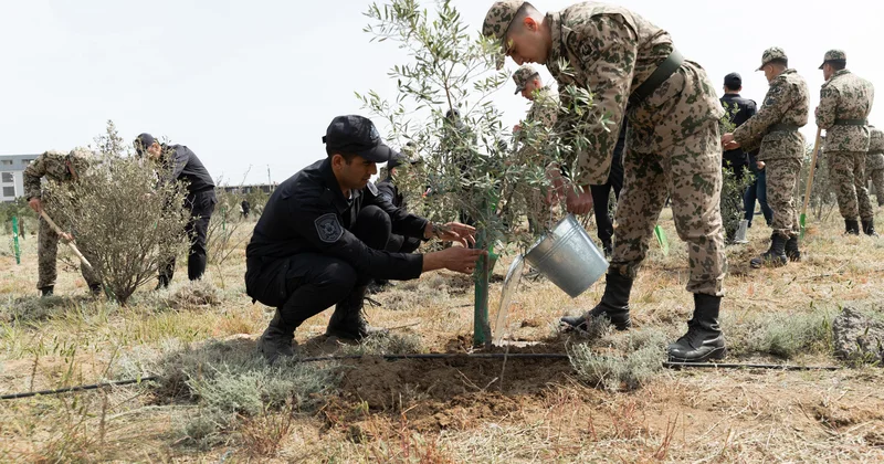 Ulu Öndərin 102 ci ildönümü ilə əlaqədar ağacəkmə aksiyası