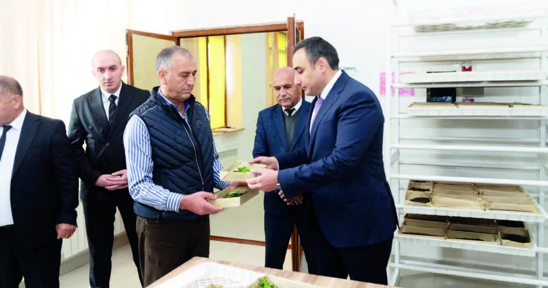 İlin “ipək” mövsümü başlandı