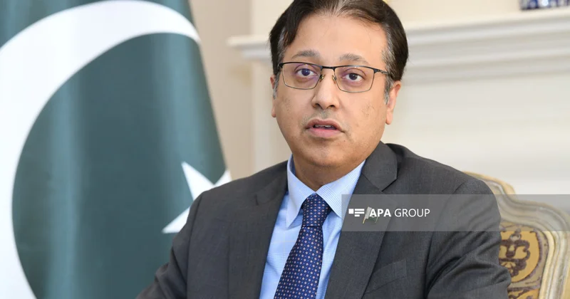 Səfir: Azərbaycan Hindistan Pakistan gərginliyinin azaldılmasına töhfə verə bilər