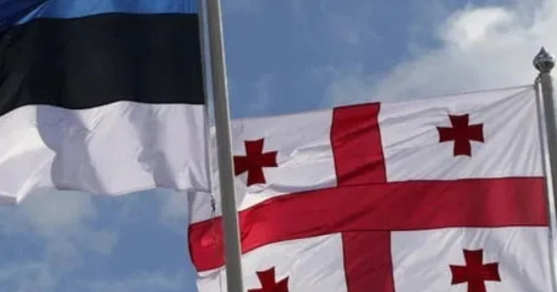 Estoniya hökuməti Gürcüstanın diplomatik pasport sahibləri üçün vizasız rejimi ləğv edib