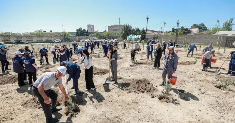 Sabunçu rayonunda ağacəkmə aksiyası keçirilib