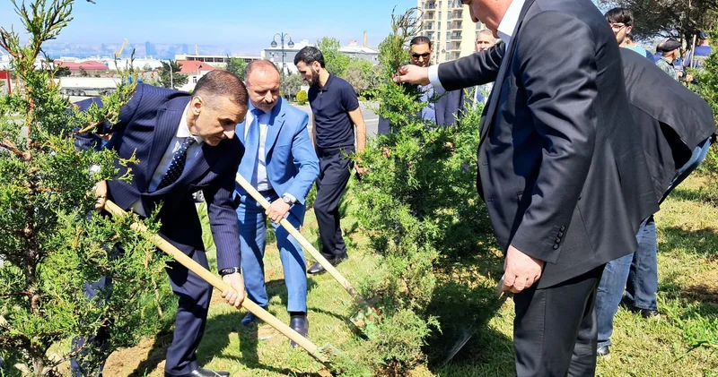 Ulu Öndərin 102 ci ildönümü münasibətilə ağacəkmə kampaniyası keçirilib FOTOLAR