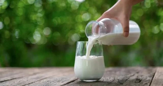 Türkiyədə südlə bağlı sektorlara genişmiqyaslı araşdırma başladıldı