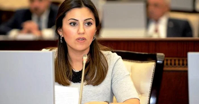 Bu əməkdaşlığın inkişafında mühüm mərhələ kimi qiymətləndirilməlidir Açıqlama