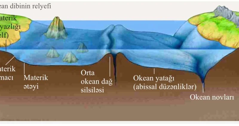 Okean dibləri tam sənədləşdirilməyib Bunun üçün 100 min il lazımdır