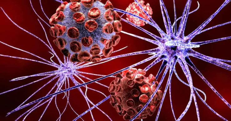 Avropada ilk dəfə aşkar edilən sirli virus: ona qarşı peyvənd yoxdur