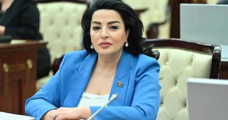 Tərəflər arasında imzalanmış sənədlər dövlətlərimizin münasibətlərində yeni imkanlar açır Millət vəkili